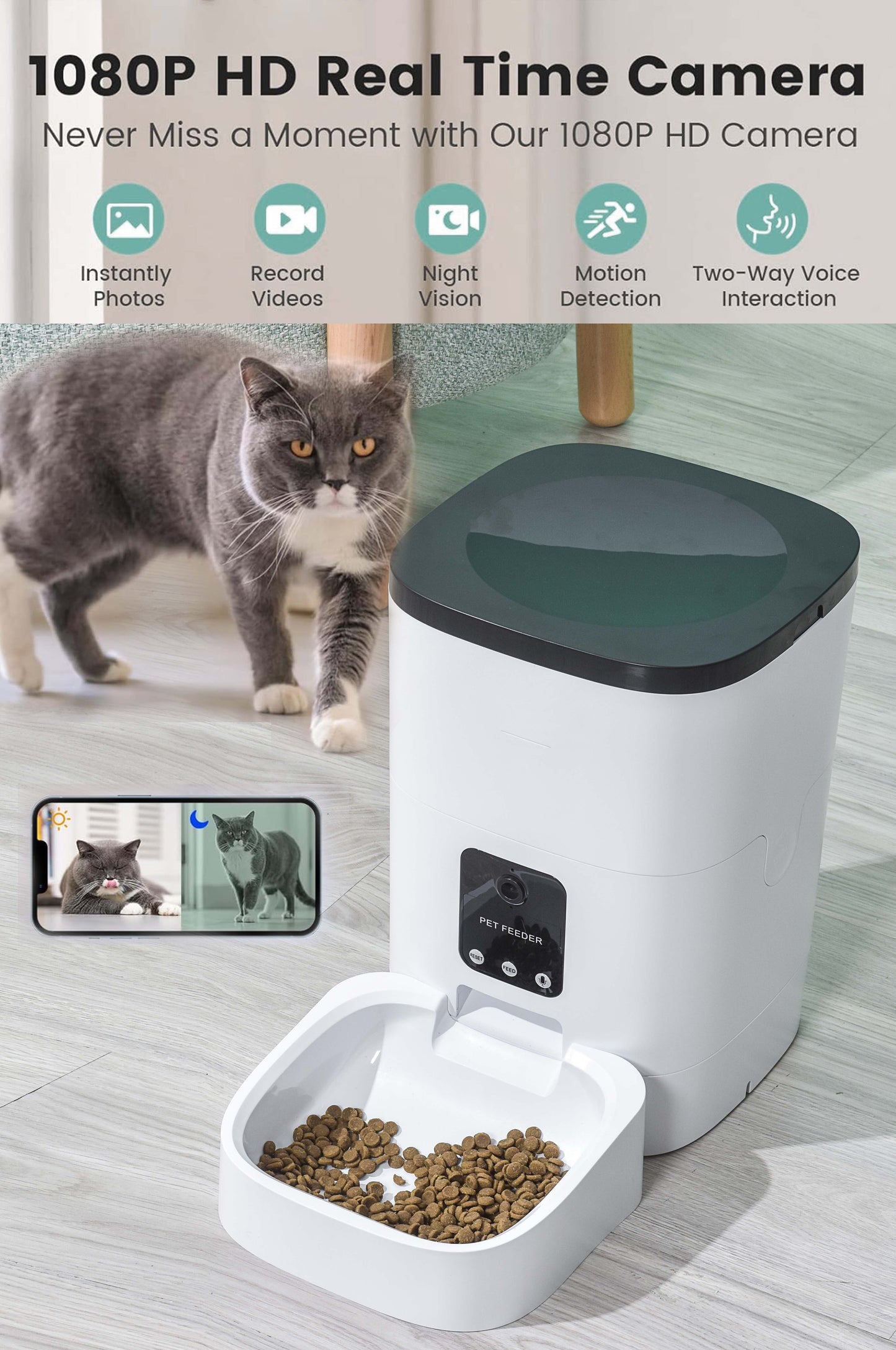 Automatic Pet Feeder for Cats and Dogs